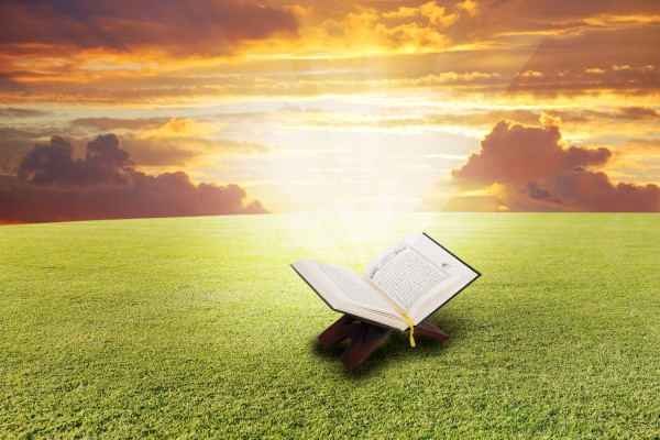 2018年高考作文素材经典二十篇|2018年高考作文素材：新时代的奋斗者【四篇】