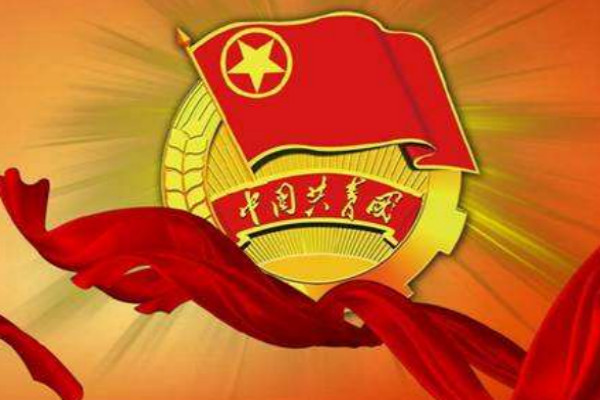 【入团志愿书格式样本】入团志愿书1000字【六篇】