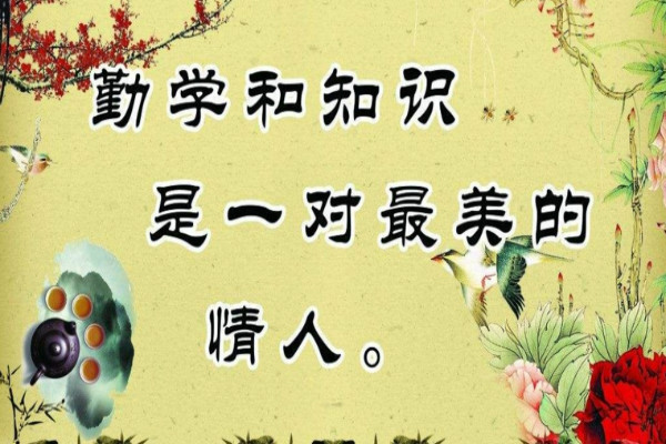 鸟欲高飞先振翅 人求上进先读书 关于学习的励志名言 鸟欲高飞先振翅 人求上进先读书 关于学习的励志名言