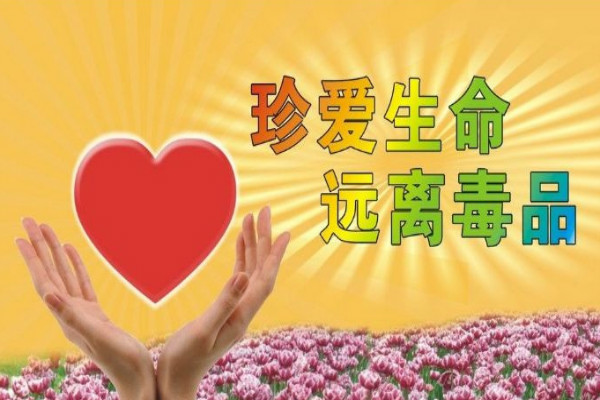 �����������ɨ����������������