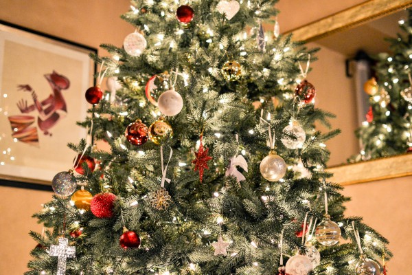 ��ҵԱ��ʥ����ף������