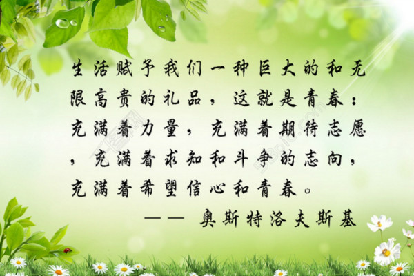 关于青春的名言励志语录大全