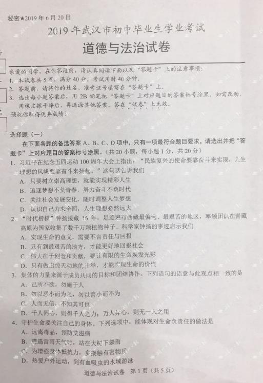 2019������人�п������Ծ����ѹ�����