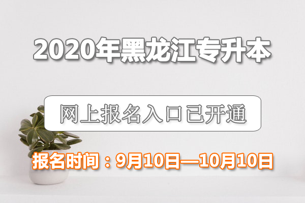 2020年黑龙江专升本考试时间|2020年黑龙江专升本考试报名入口已正式开通【9月10日至10月10日】