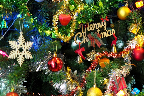 2019У԰ʥ���ڻ�ĵá���ѡƪ��