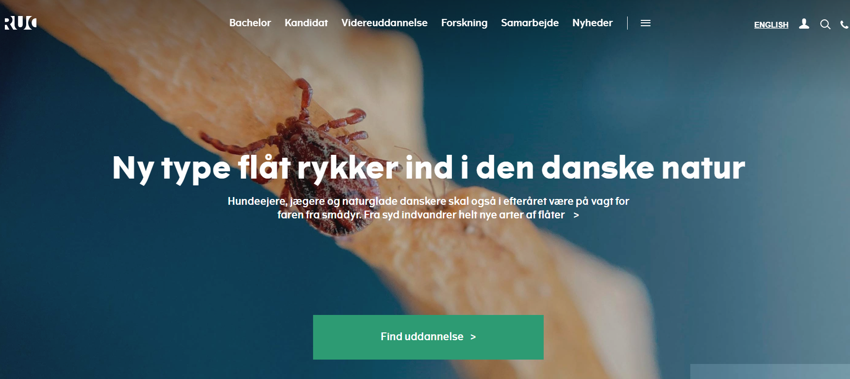 ������˹�����´�ѧ��https://ruc.dk/