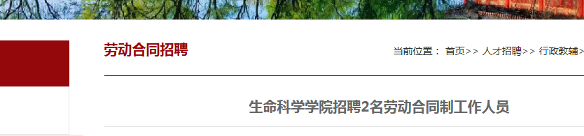 2026������ѧ������ѧѧԺ��Ƹ�Ͷ���ͬ����Ա2�˹���