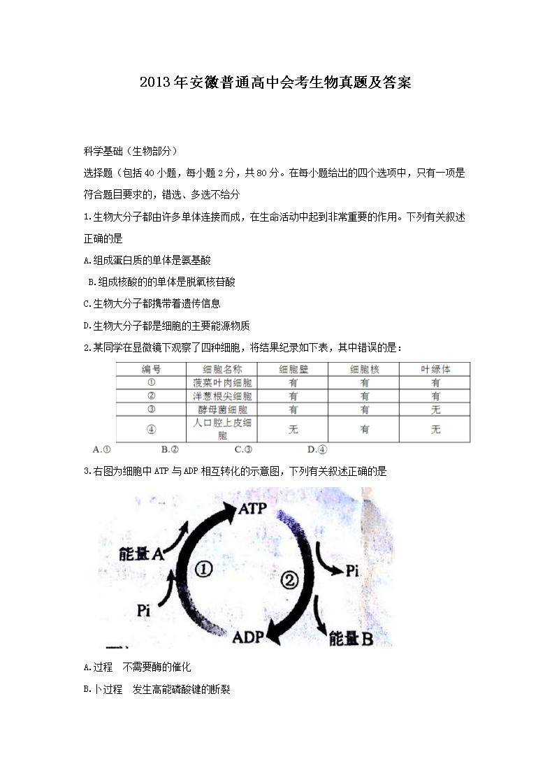 2013�갲����ͨ���лῼ�������⼰��(Word��)