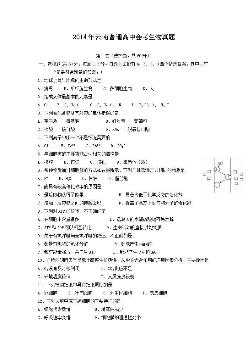 2014��������ͨ���лῼ��������(Word��)