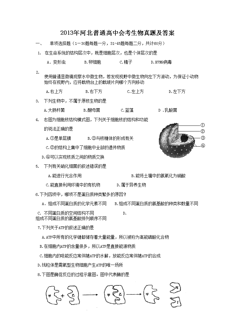 2013��ӱ���ͨ���лῼ�������⼰��(Word��)