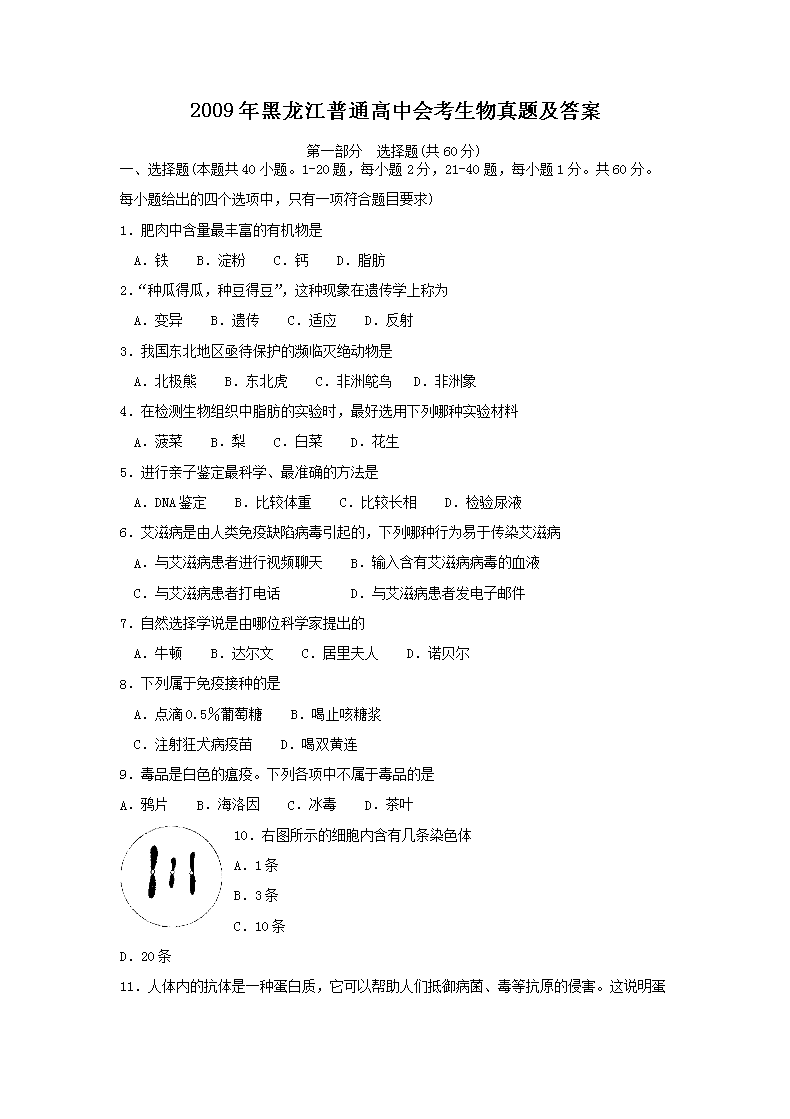 2009���������ͨ���лῼ�������⼰��(Word��)