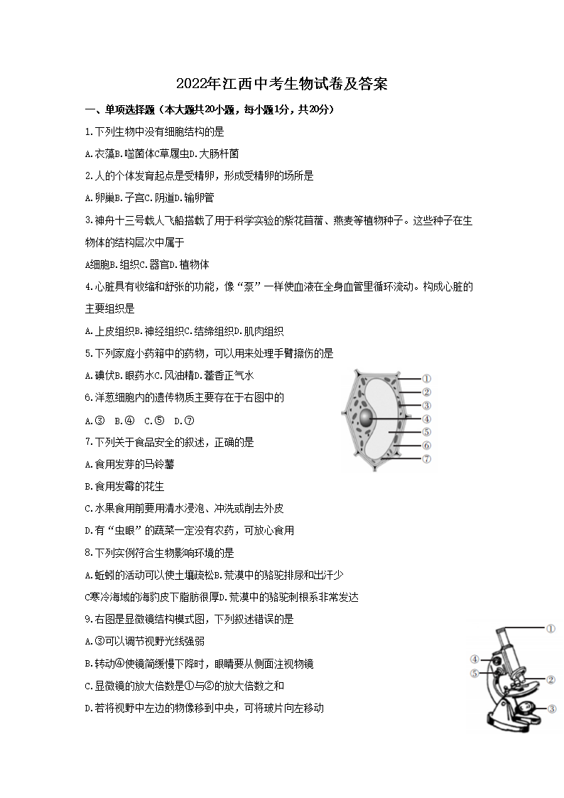 2022�꽭���п������Ծ�����(Word��)