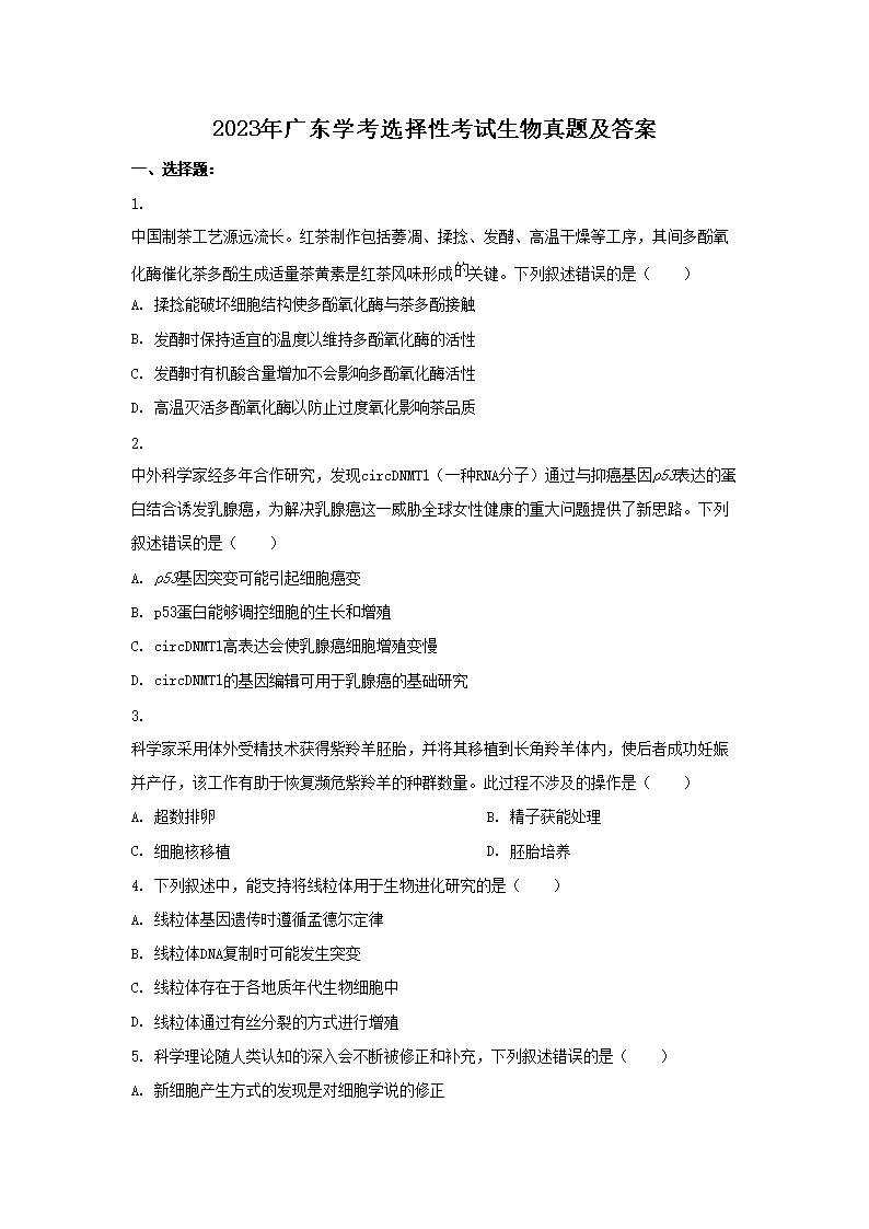 2023��㶫ѧ��ѡ���Կ����������⼰��(Word��)