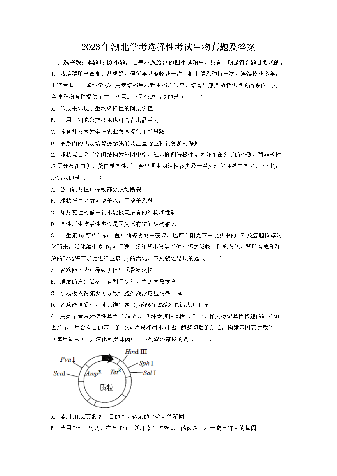 2023�����ѧ��ѡ���Կ����������⼰��(Word��)