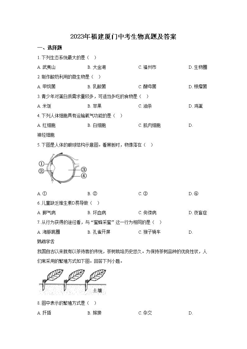 2023�긣�������п��������⼰��