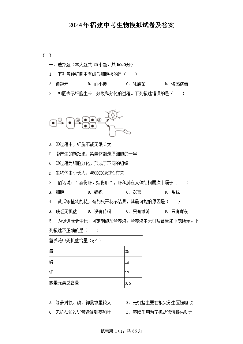 2024�긣���п�����ģ���Ծ�����(Word��)