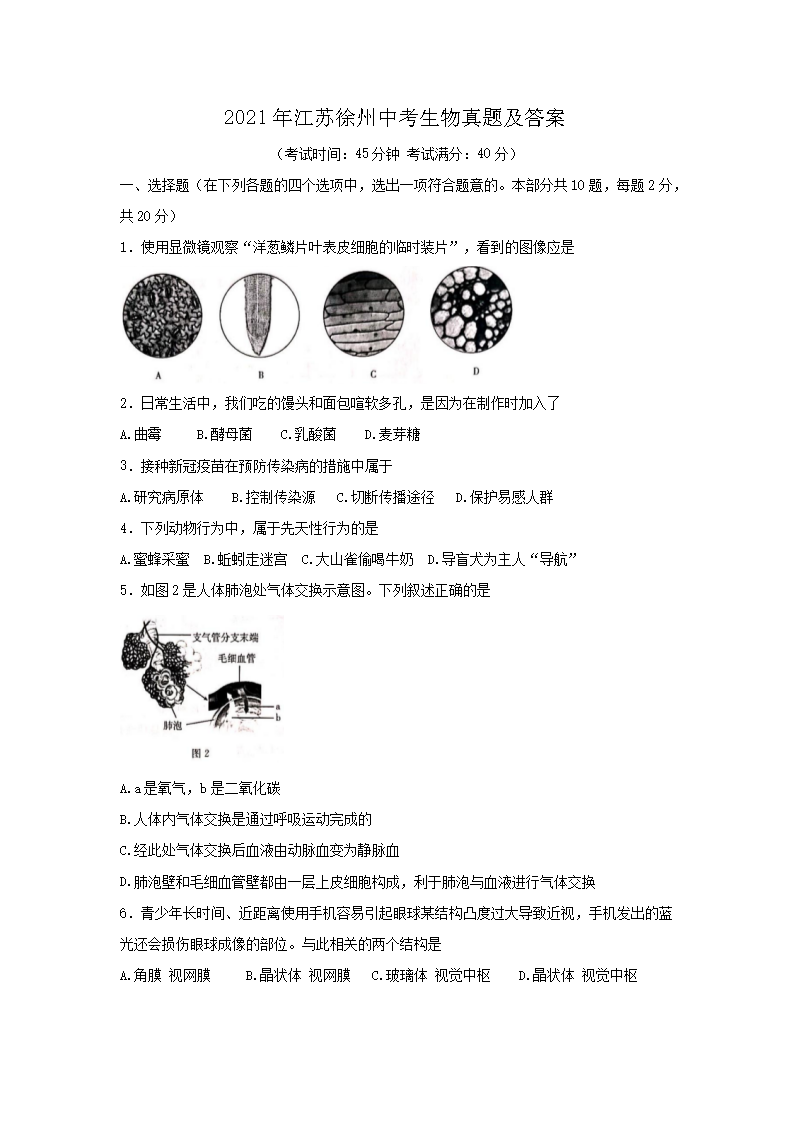 2021�꽭�������п��������⼰��(Word��)