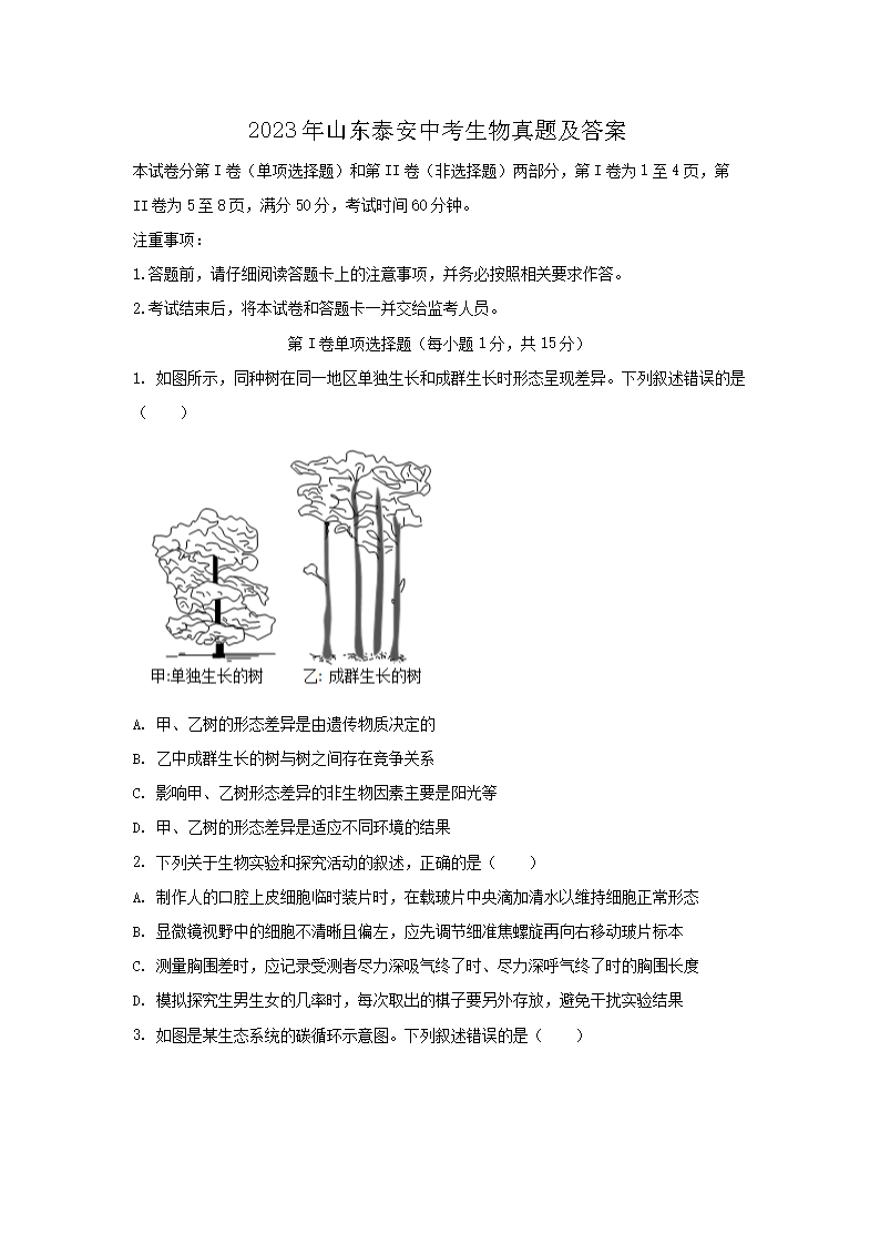 2023��ɽ��̩���п��������⼰��