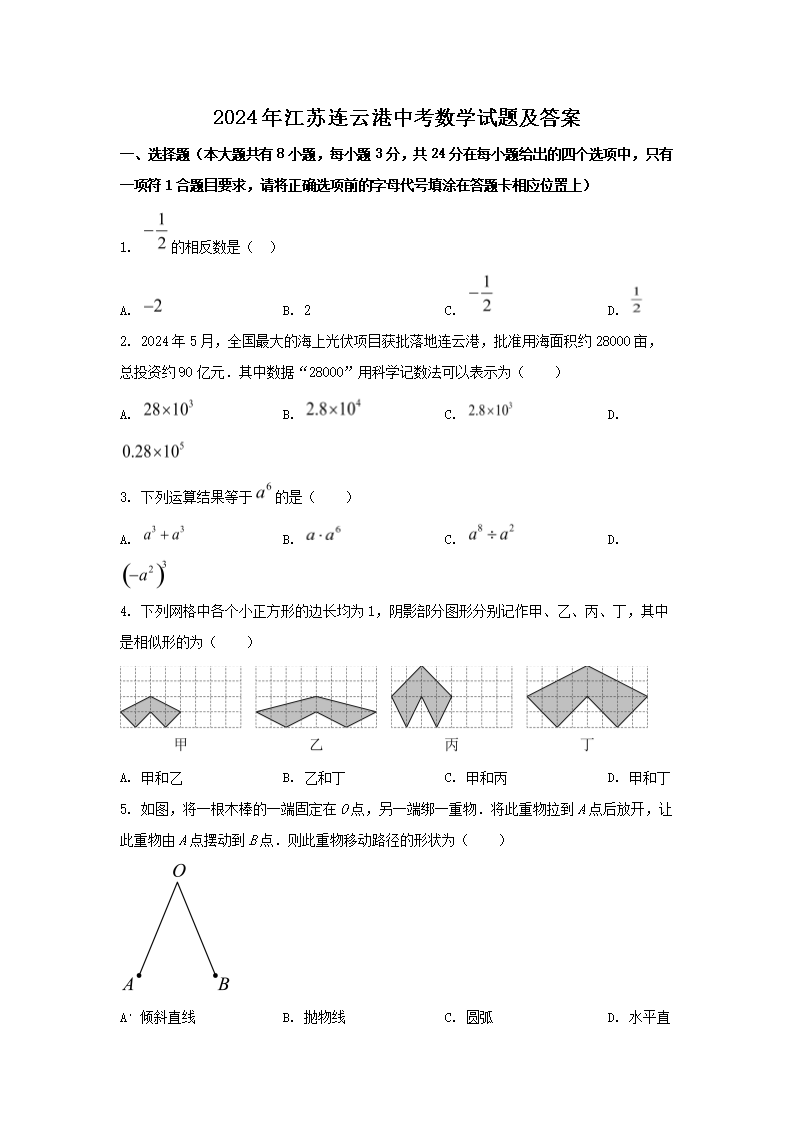 2024�꽭�����Ƹ��п���ѧ���⼰��(Word��)