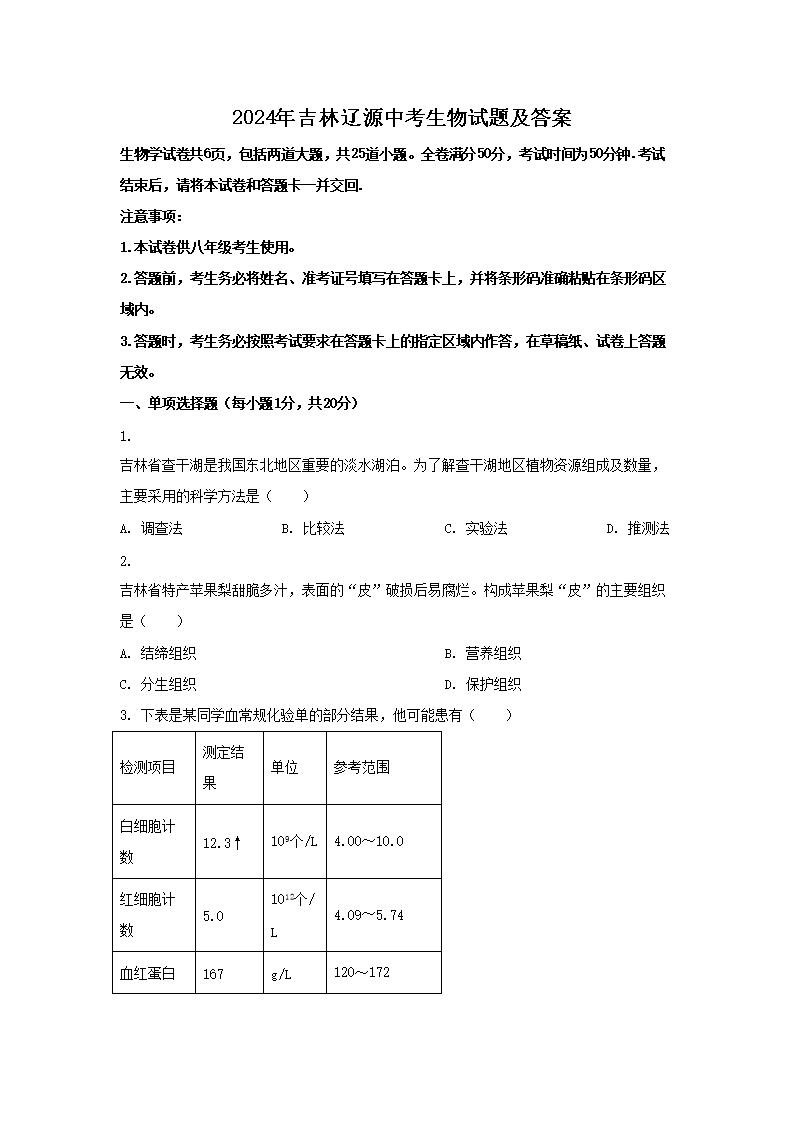 2024�꼪����Դ�п��������⼰��(Word��)