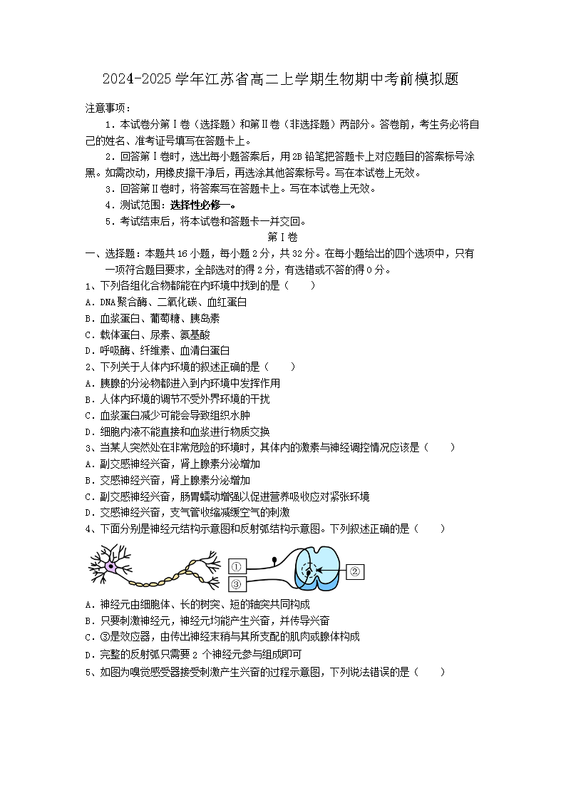 2024-2025ѧ�꽭��ʡ�߶���ѧ������ģ���⼰��(Word��)