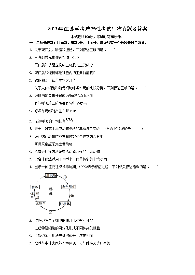 2025�꽭��ѧ��ѡ���Կ����������⼰��(Word��)