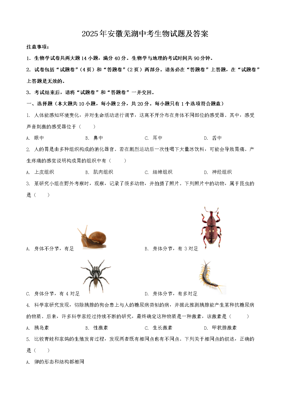 2025�갲���ߺ��п��������⼰��