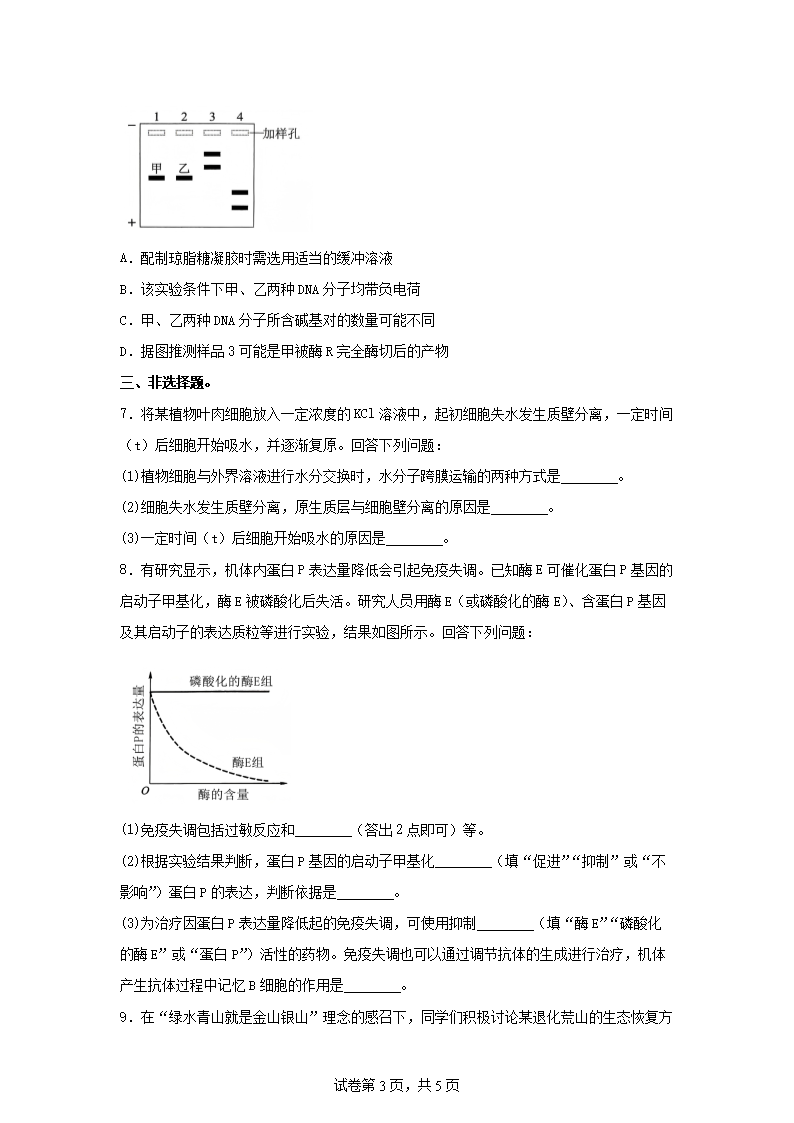 2025年新疆普通高中学业水平选择性考试生物真题及答�?.png