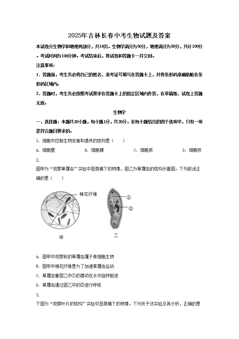 2025�꼪�ֳ����п��������⼰��(Word��)