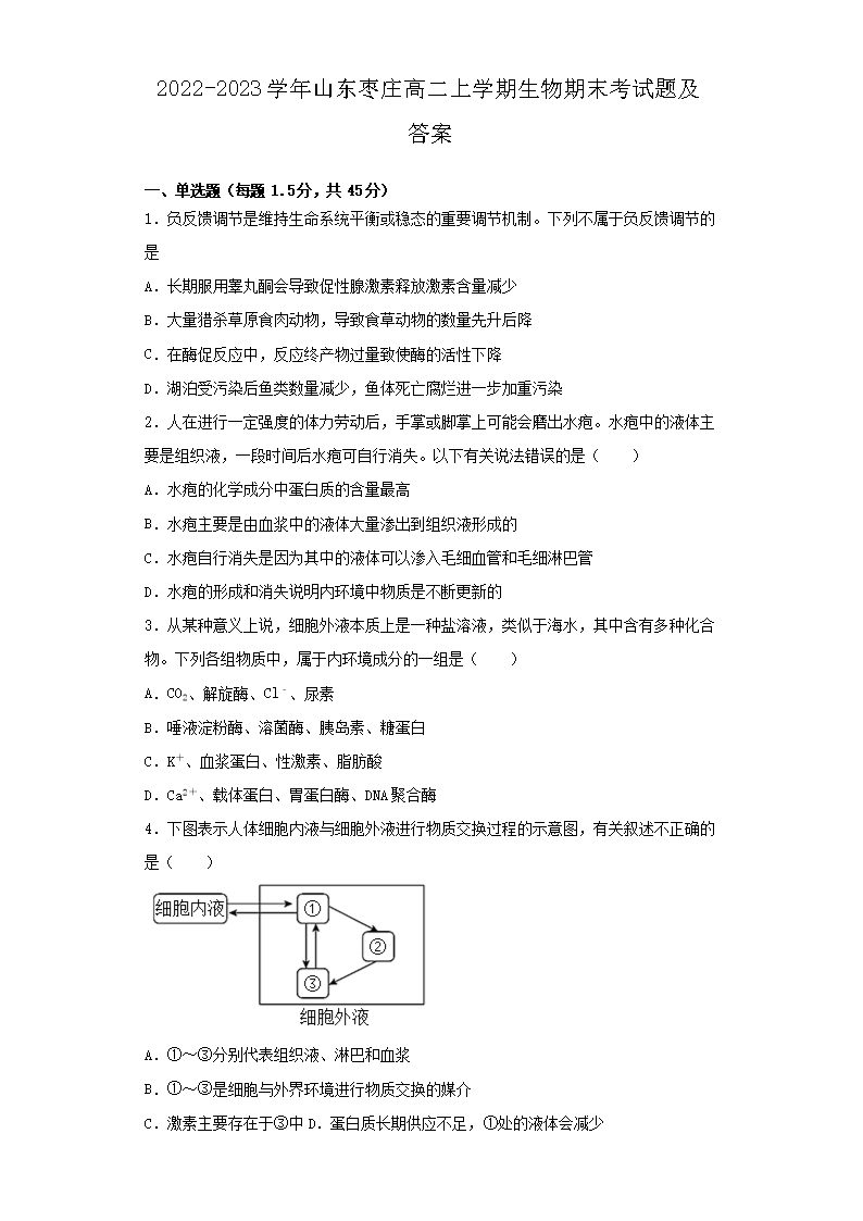 2022-2023ѧ��ɽ����ׯ�߶���ѧ��������ĩ�����⼰��(Word��)