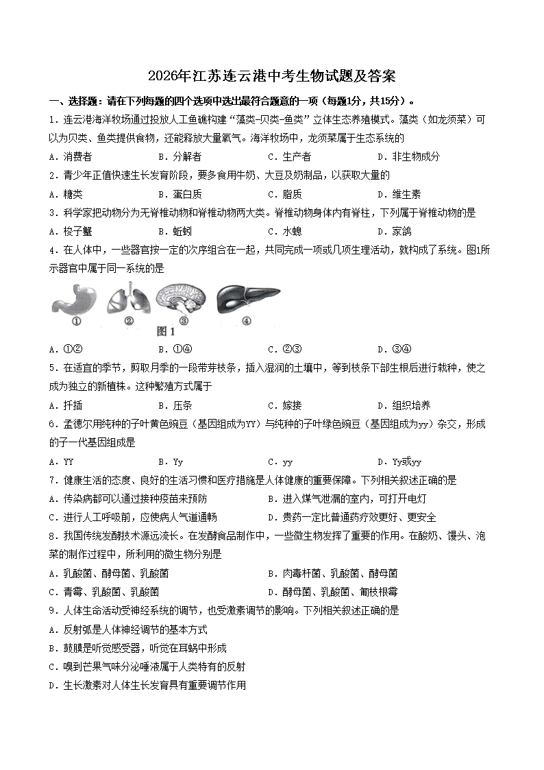 2026�꽭�����Ƹ��п��������⼰��(Word��)